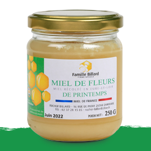 Bocal de miel de fleurs de printemps, récolté en Eure-et-Loir